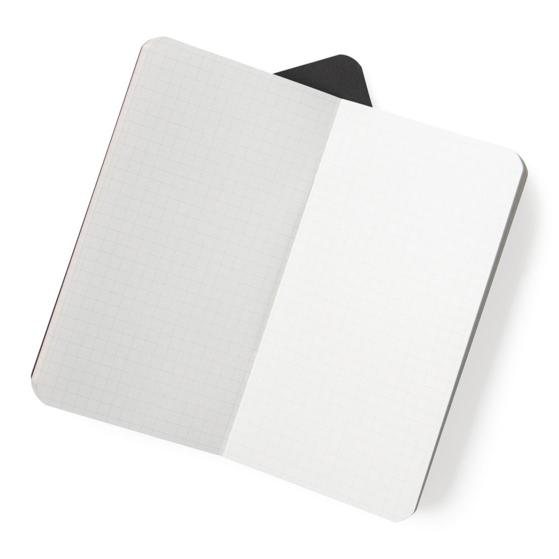 Set de carnets de poche Born2ride Carhartt WIP ouverts avec pages quadrillées blanches