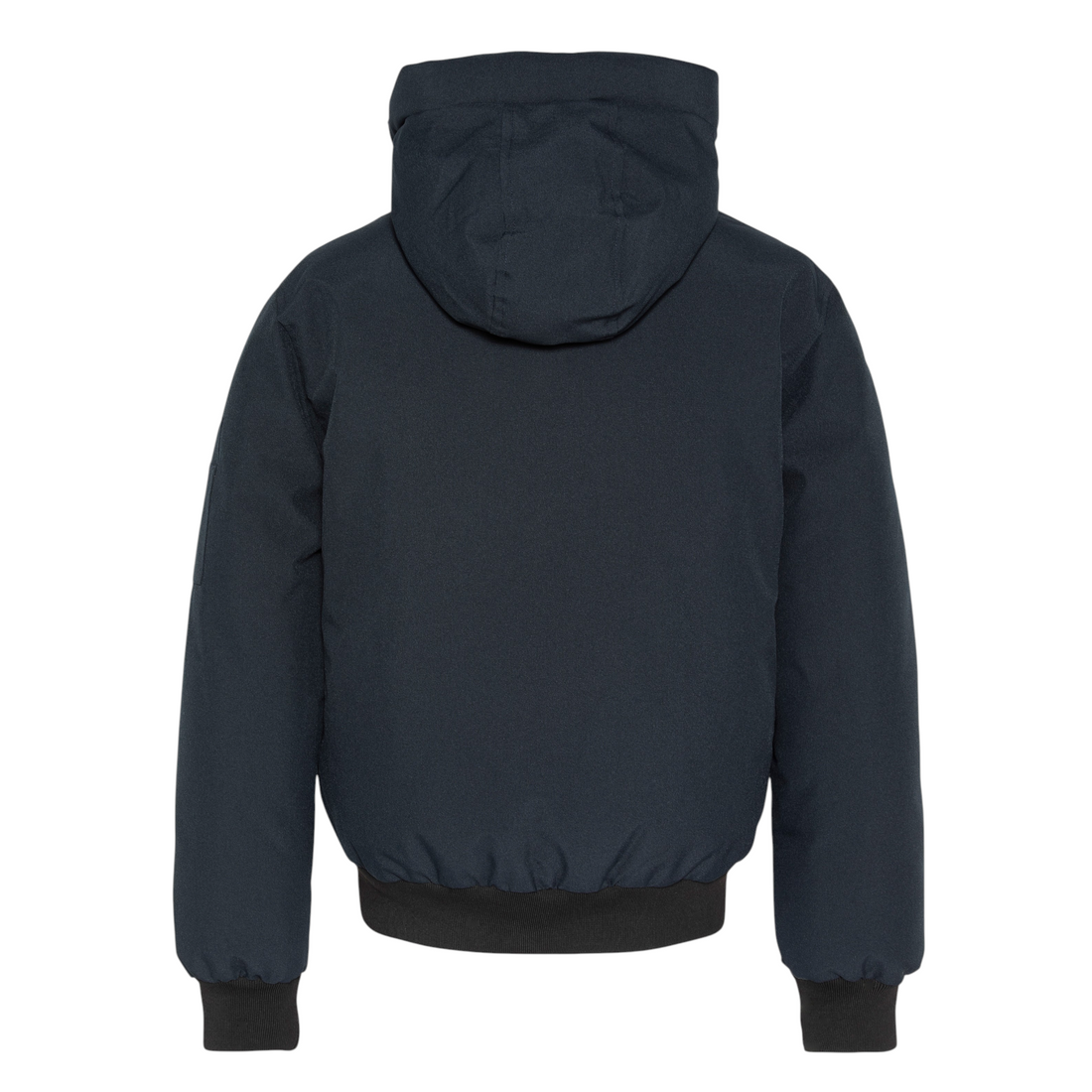Vue arrière du blouson court à capuche Born2ride Schott Beever bleu marine en polyester avec bords-côtes