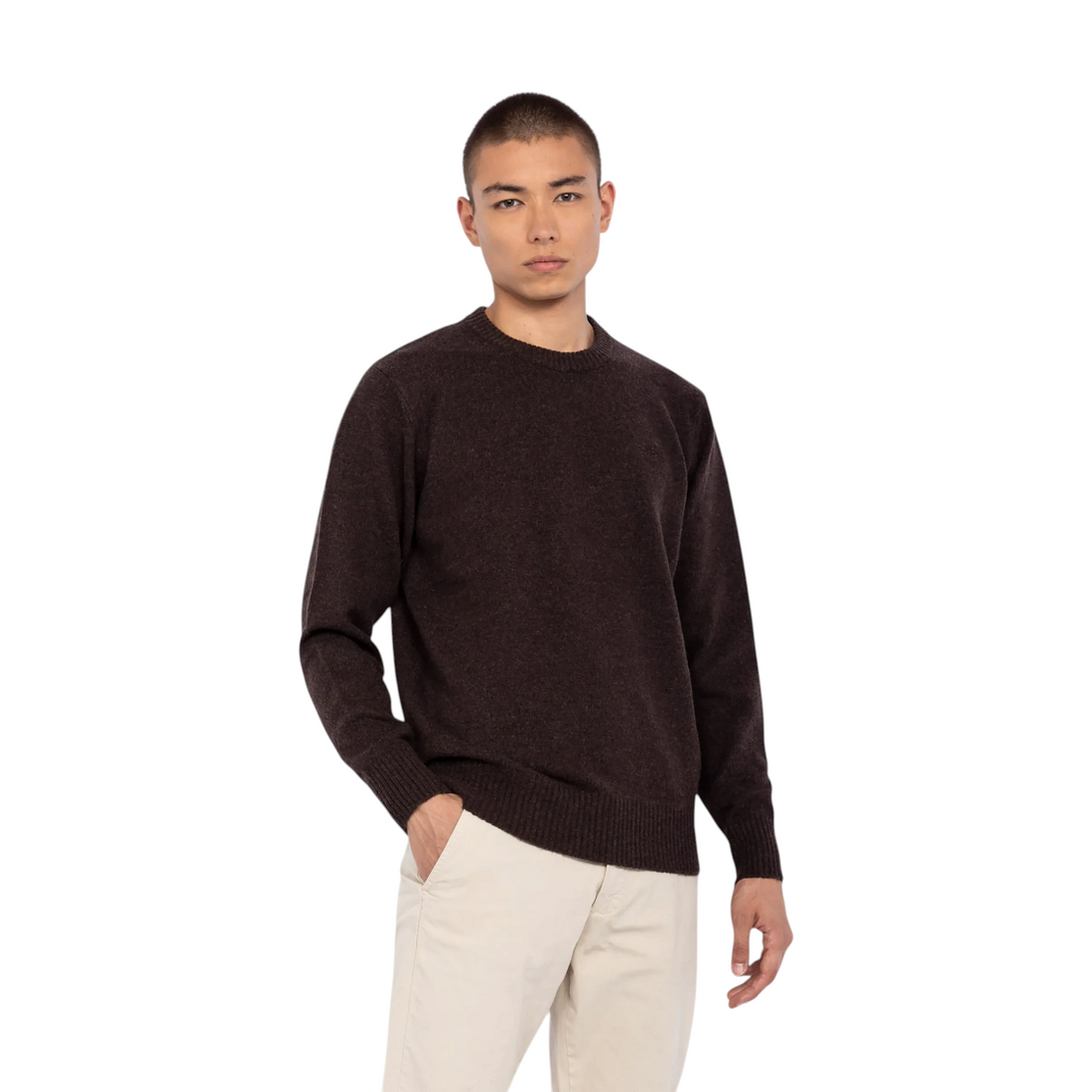 Homme portant un pull Born2ride Schott Pllance1 en laine couleur café à col rond et finitions côtelées